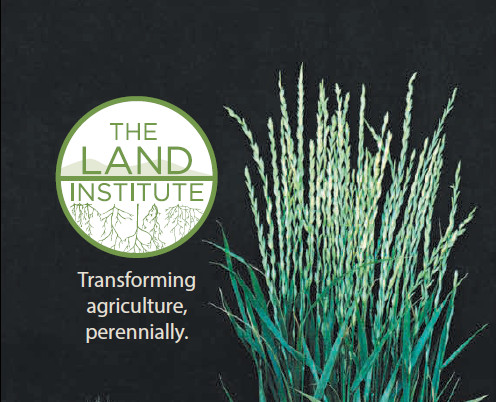 View our PDF by clicking the image above!